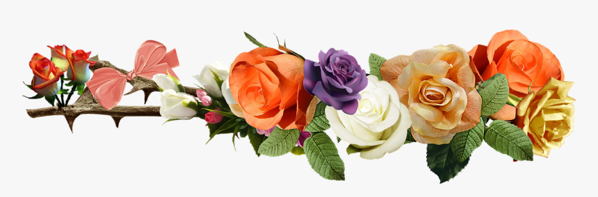 Rose Flowers Love Yellow Roses Png Image - Coloured Roses Transparent Background, Png Download