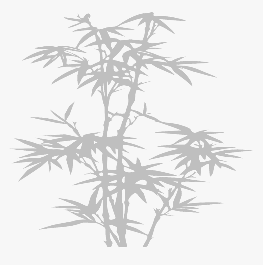 White Bamboo Transparent, HD Png Download