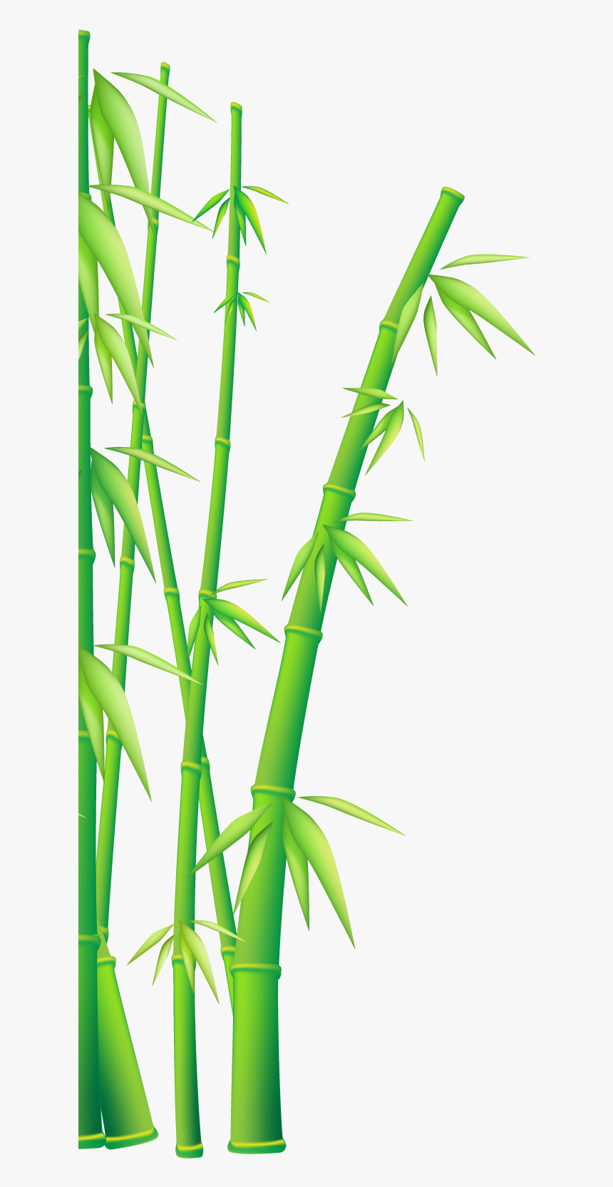 Bamboo Vector Clipart , Png Download - Kung Fu Panda Bamboo, Transparent Png