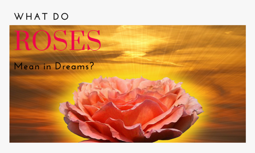 Trouw Zijn Aan Jezelf, HD Png Download