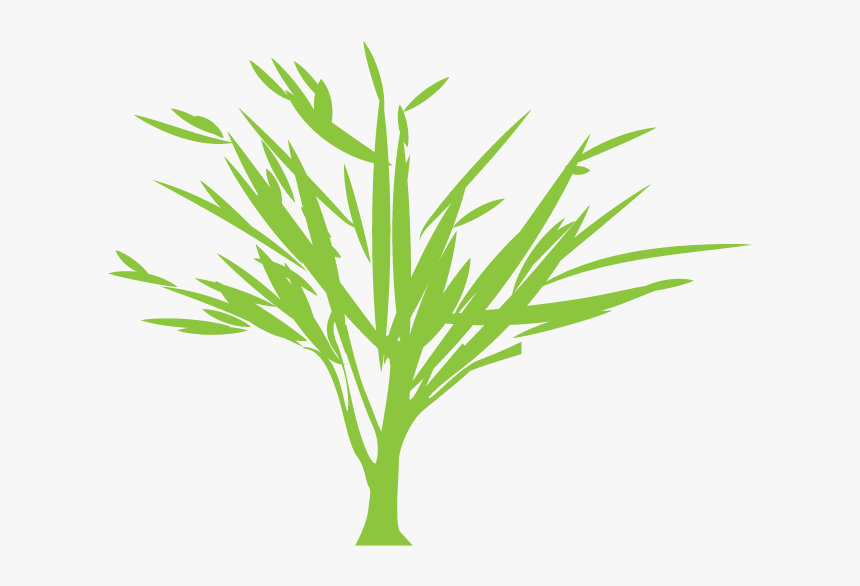 Tree Silhouette Euclidean Vector Green - Vector Graphics, HD Png Download