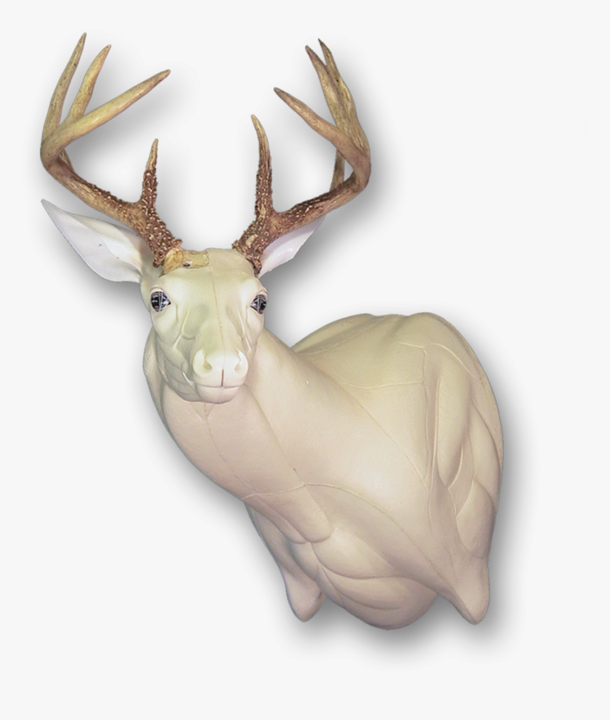 Elk, HD Png Download