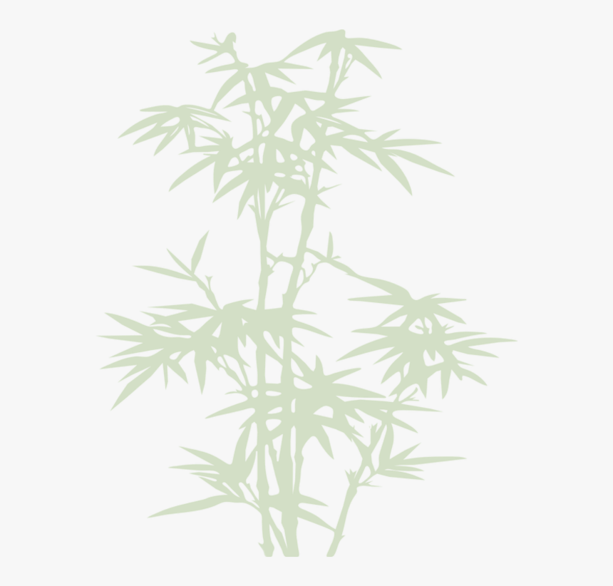 #bamboo #tree #shadow #green #cherryatelier #freetoedit - Bamboo, HD Png Download