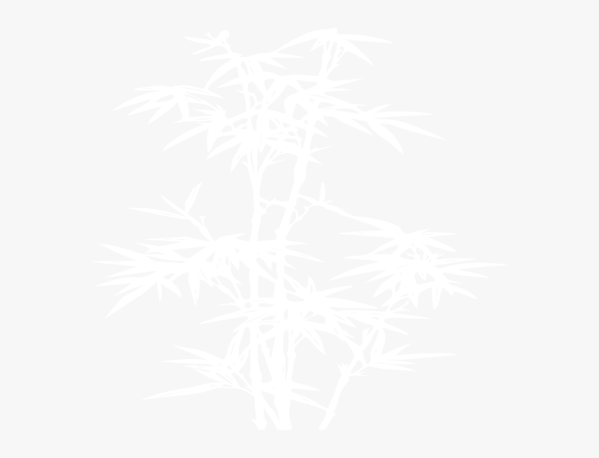 Bamboo White And Black, HD Png Download