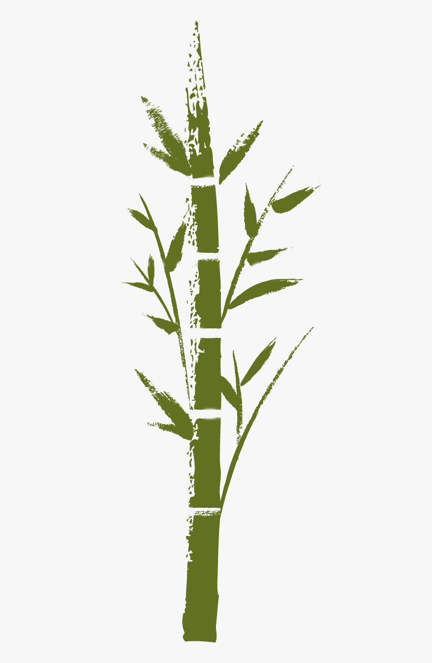 Pond Pine, HD Png Download