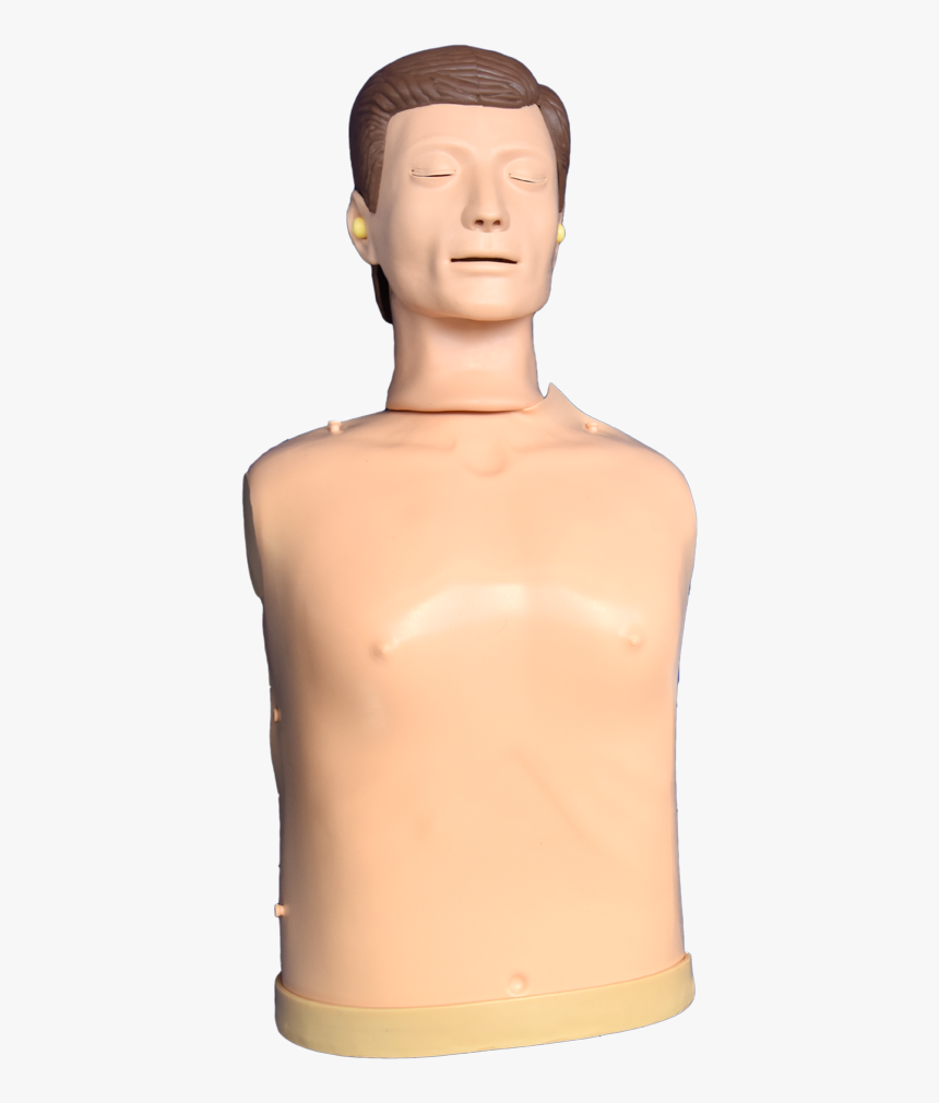 Transparent Manikin Png - Mannequin, Png Download