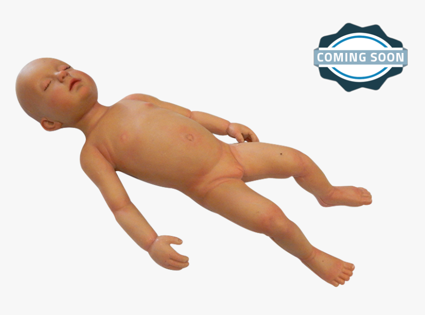 Infant Manikin For Medical Training - Transparent Anatomical Manikin, HD Png Download