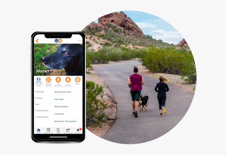 Phoenix, HD Png Download