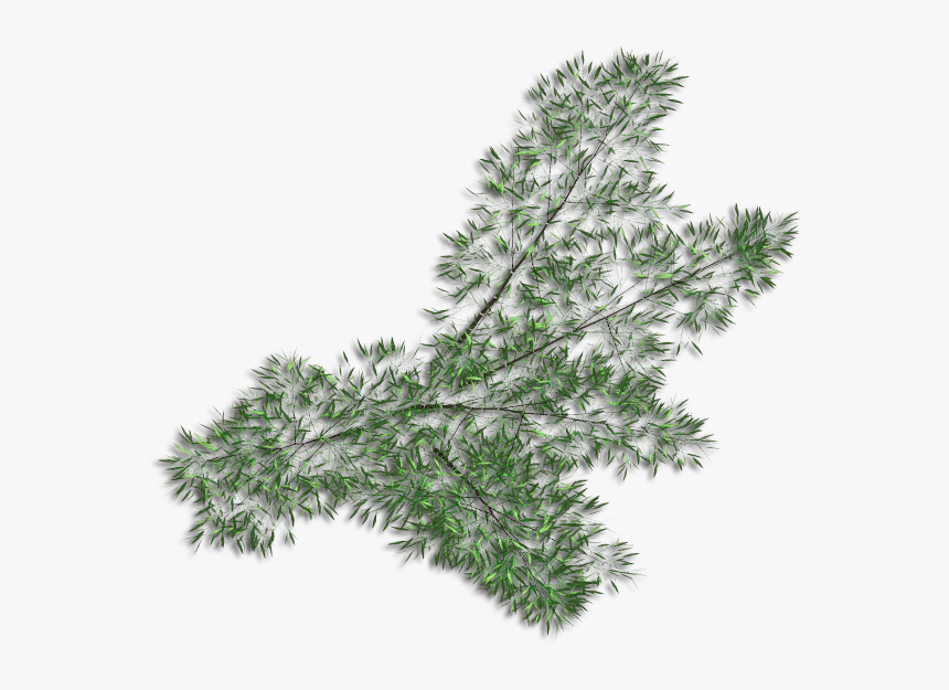 Grass, HD Png Download