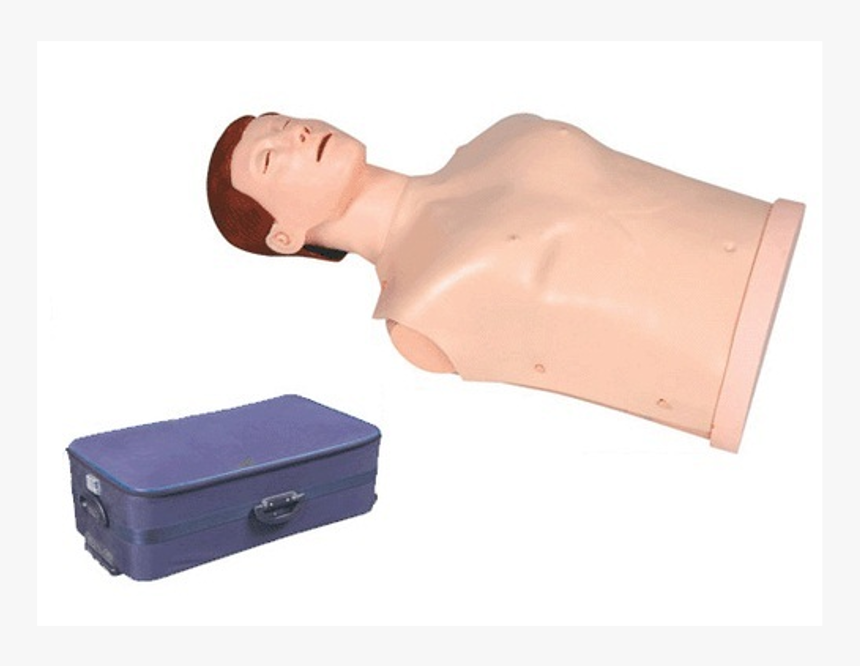 Cpr Manikins, HD Png Download