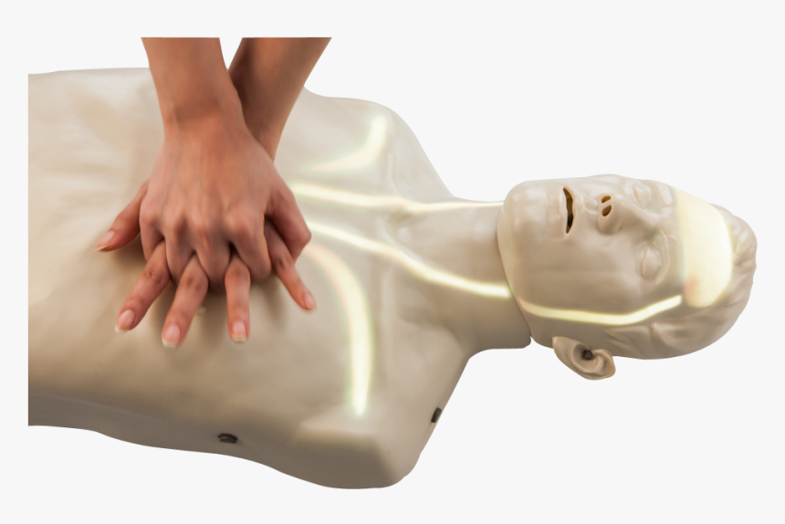 Cpr Manikins, HD Png Download