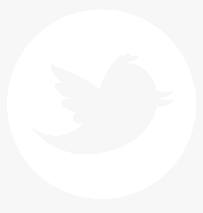 Thumb Image - Twitter Logo, HD Png Download