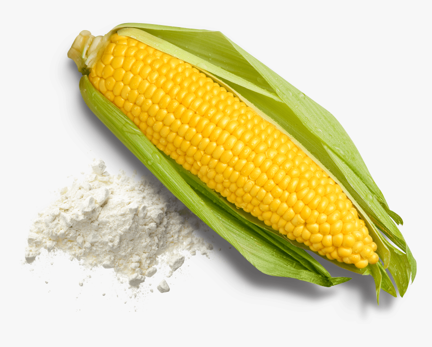 Corn Kernels, HD Png Download