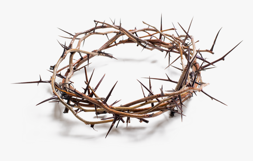 Stock Photography Crown Of Thorns Royalty-free - Crown Of Thorns Png, Transparent Png
