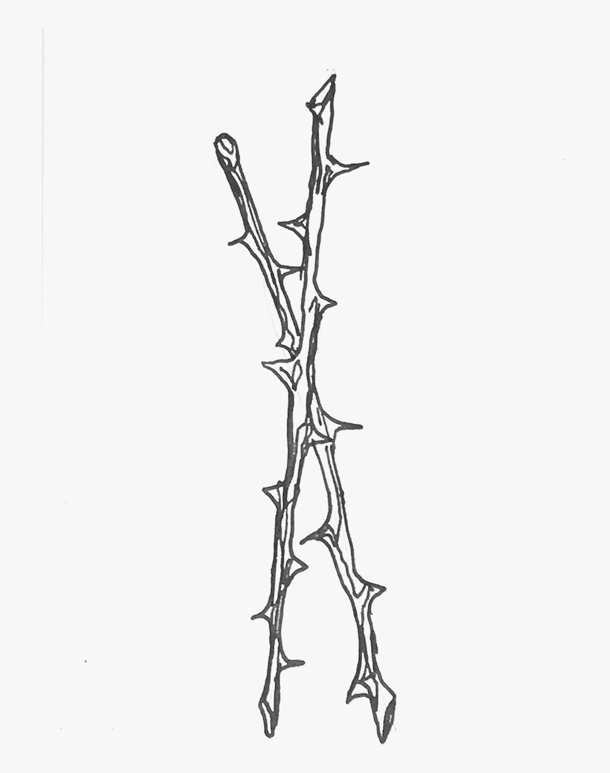 Bernice Yu/ - Line Art, HD Png Download