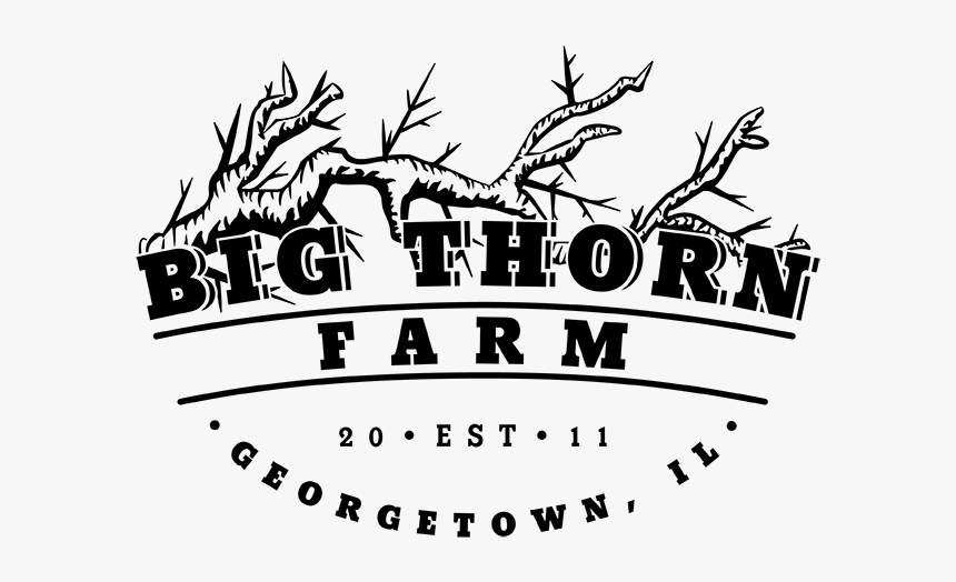 Big Thorn Farm Logo - Mks Czarni Jelcz Laskowice, HD Png Download