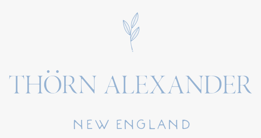 Thorn Png , Png Download - News, Transparent Png