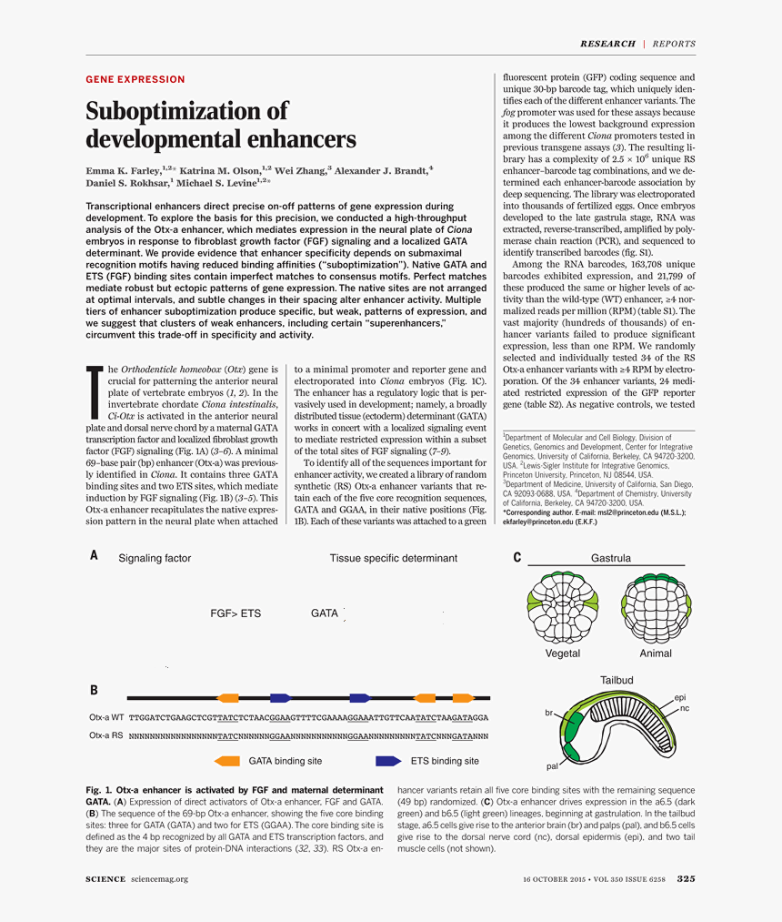 Document, HD Png Download