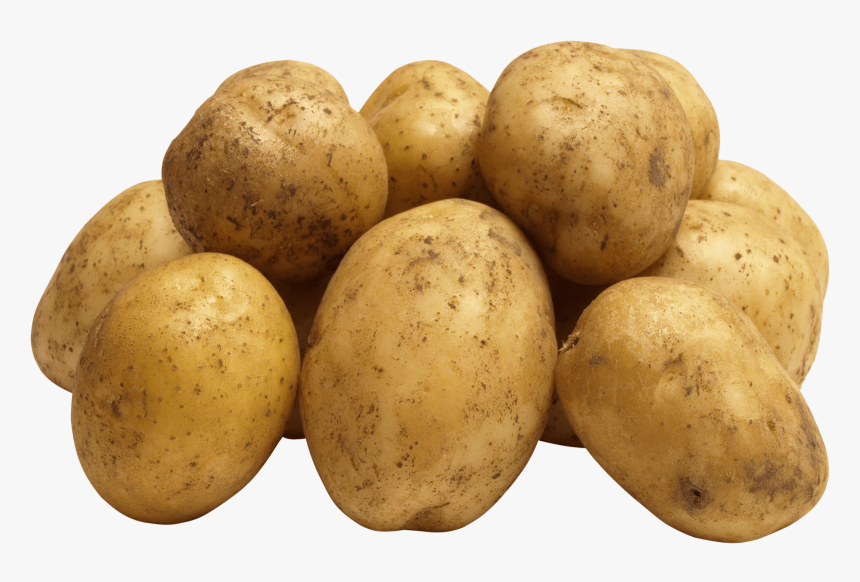 Group Of Potatoes - Potato Png, Transparent Png