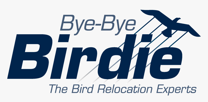 Bye Bye Birdie - New Generation, HD Png Download