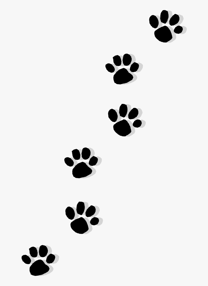 Cat Puppy Dachshund Paw Printing - Puppy Print Clipart Transparent Background, HD Png Download