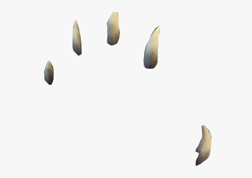 #teenwolf #claws #werewolf #wolf #freetoedit - Stock Dove, HD Png Download