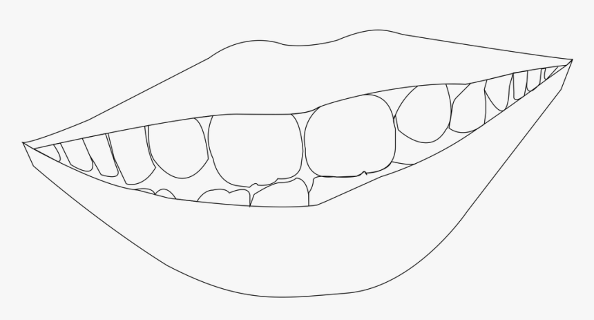 Line Art, HD Png Download