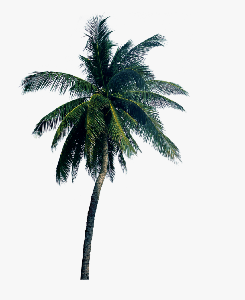 Four Seasons Mumbai Tower, HD Png Download