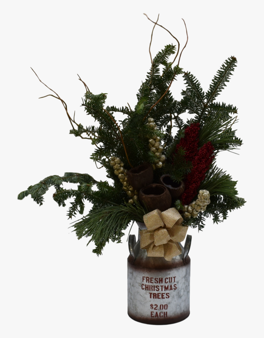 Fresh Cut Christmas Trees, HD Png Download