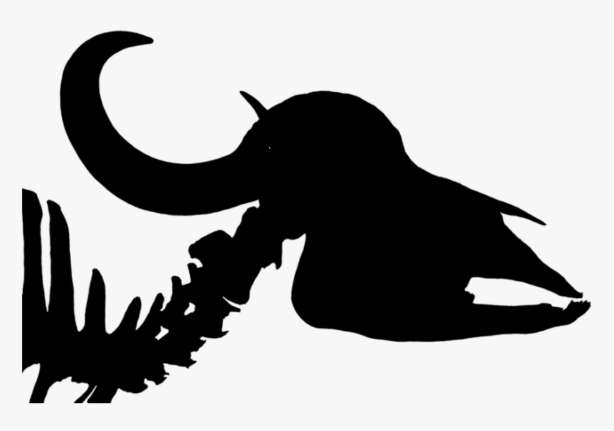 Cow Bones Silhouette, HD Png Download