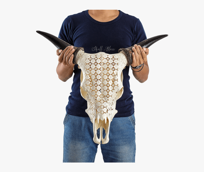 Carved Cow Skull - Firearm, HD Png Download