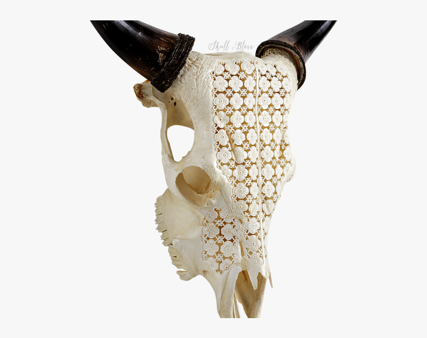 Skull, HD Png Download