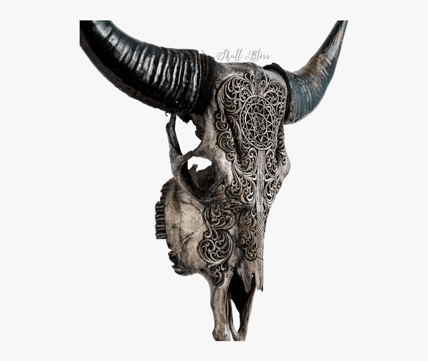 Skull Variant Skull Only - Carved Longhorn Skull, HD Png Download