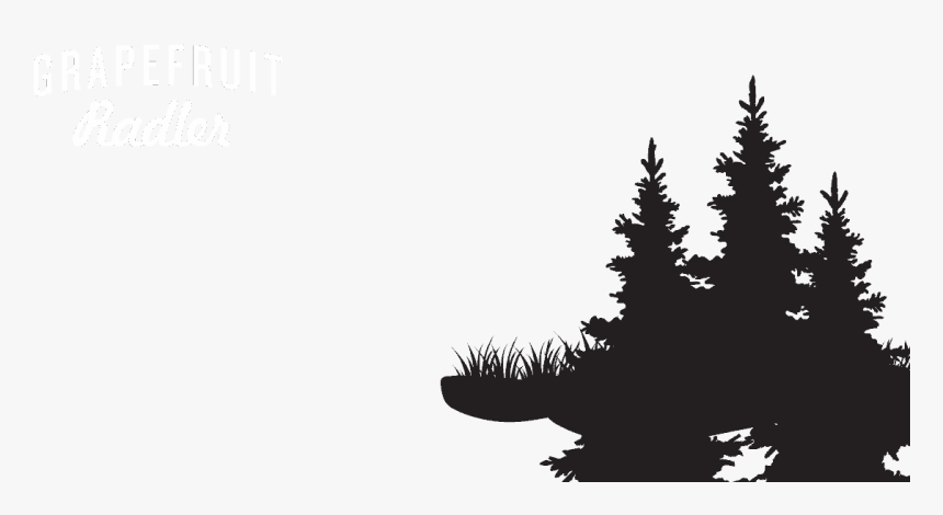 Christmas Tree, HD Png Download