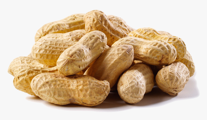 A New Study Showed That Eating Peanuts Or Peanut Butter, HD Png Download