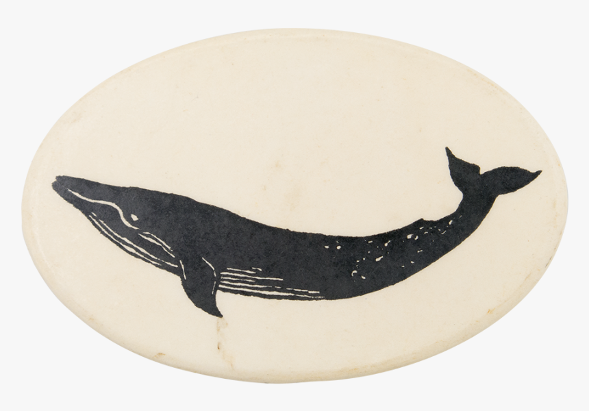 Blue Whale Art Button Museum - Humpback Whale, HD Png Download