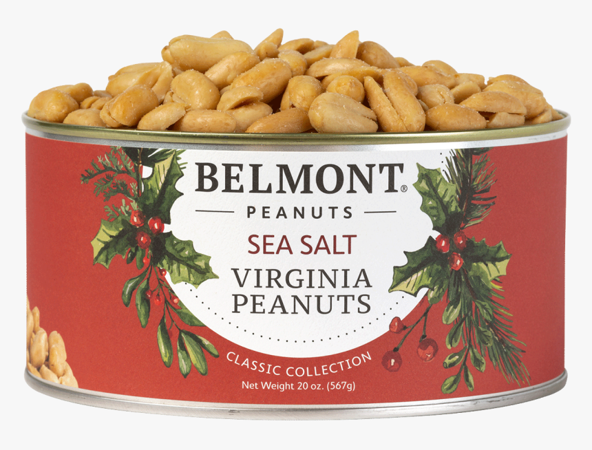 Nut, HD Png Download