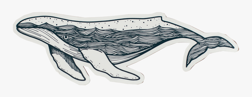 Whale Stickers, HD Png Download