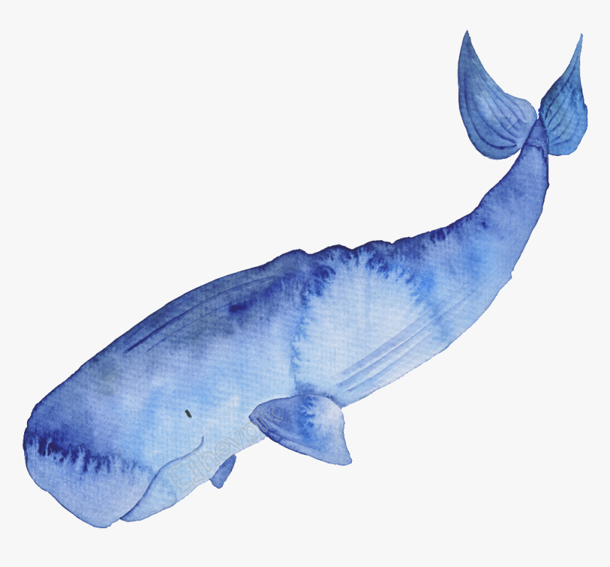 Blue Hand Painted Watercolor - Transparent Watercolor Whale Png, Png Download