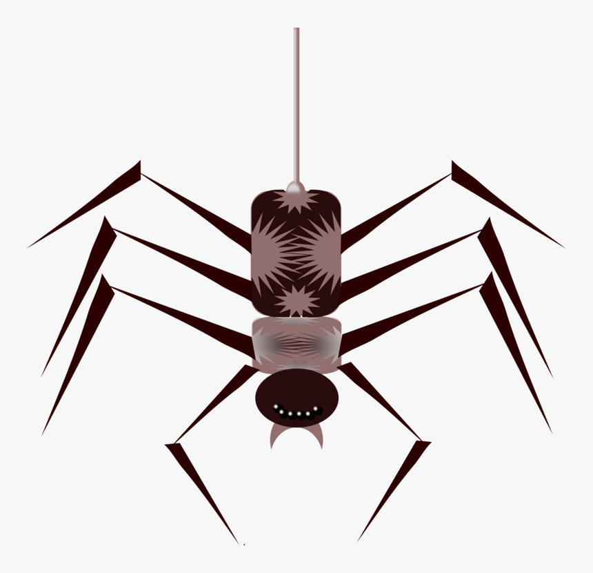 Cartoon Spider, HD Png Download
