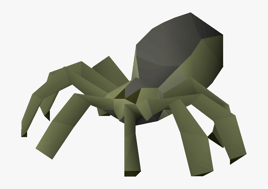 Insect, HD Png Download