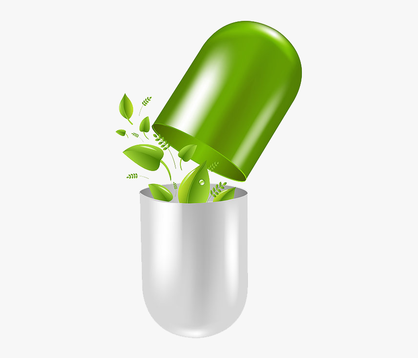 For Treating Alzheimer S - Herbal Medicine Logo Png, Transparent Png
