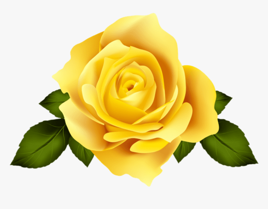 Thumb Image - Yellow Rose Transparent Background, HD Png Download