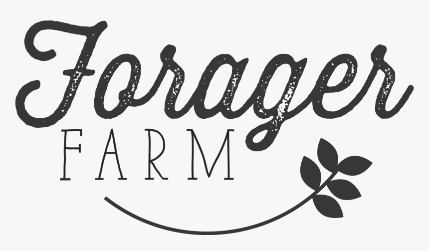 Calligraphy, HD Png Download