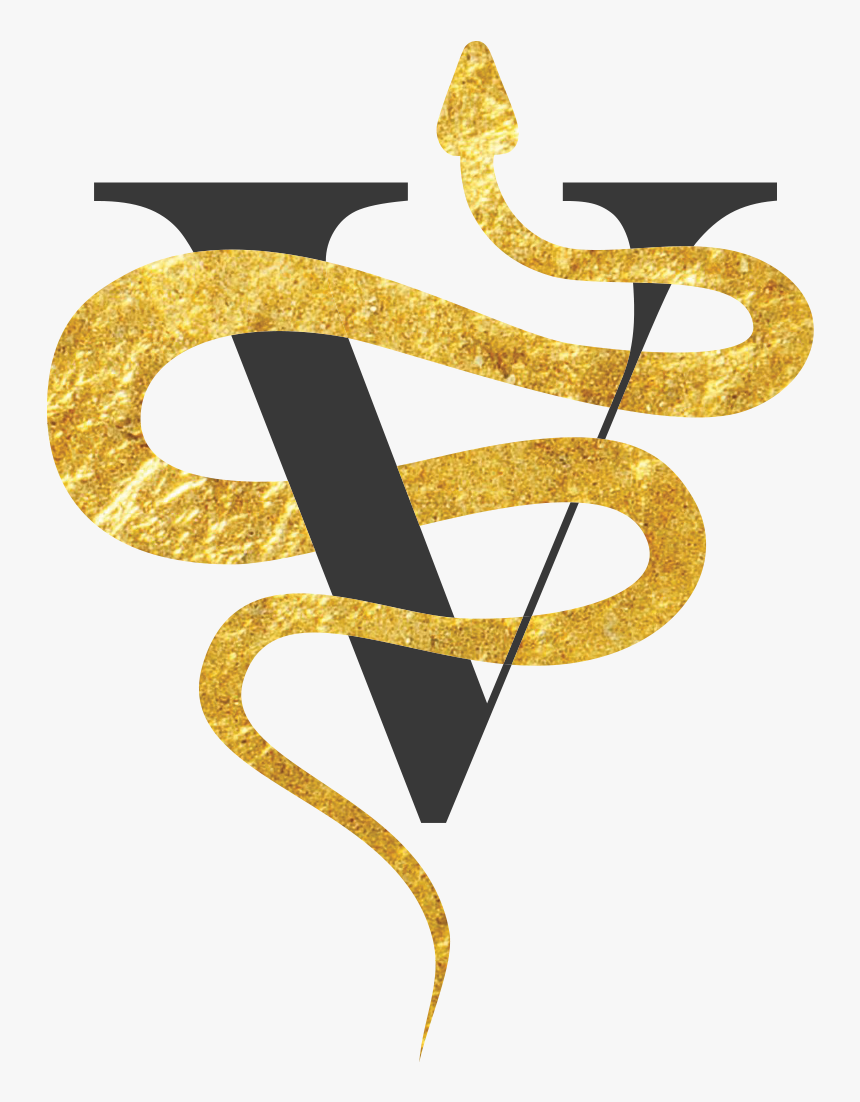 Virago Symbol Gold No Circle - Virago Gallery, HD Png Download