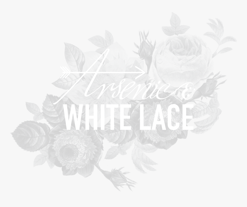 Arsenic And White Lace - Illustration, HD Png Download