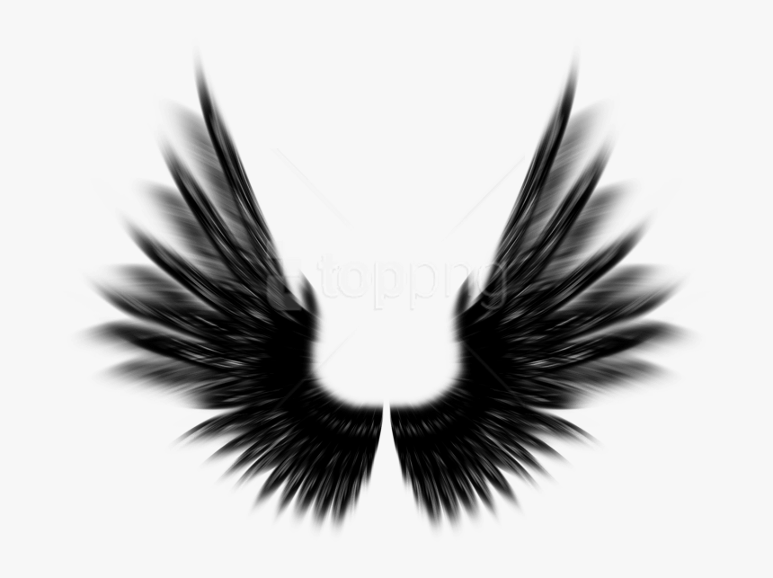 Free Png Shield With Wings Png Png Image With Transparent - Black Angel Wings Photoshop, Png Download