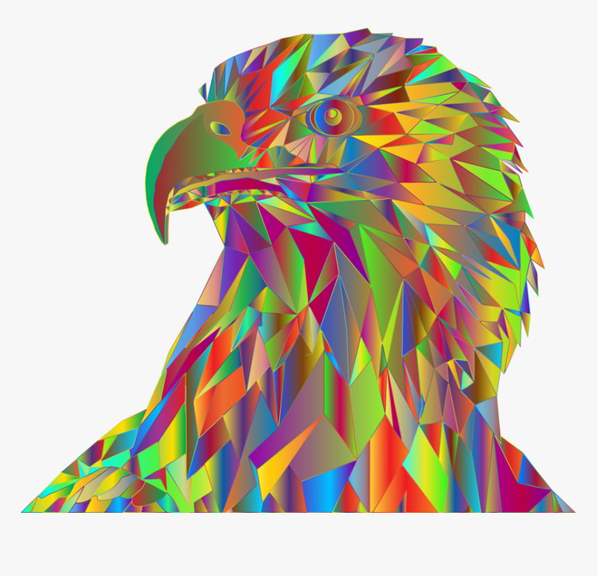Eagle,bird,bald Eagle - Illustration, HD Png Download
