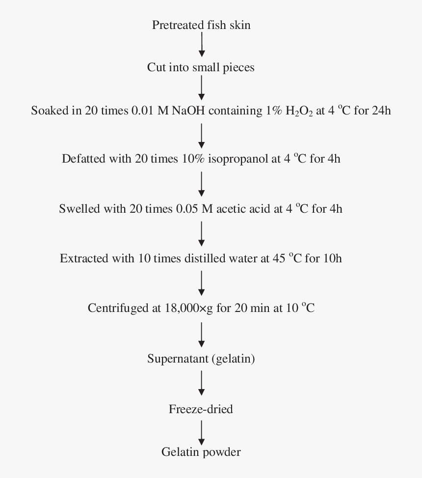 Document, HD Png Download