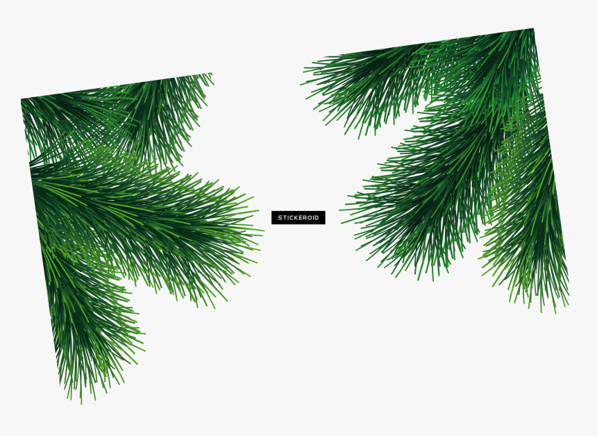 Green Fir-tree , Png Download - Transparent Christmas Tree Branch Png, Png Download